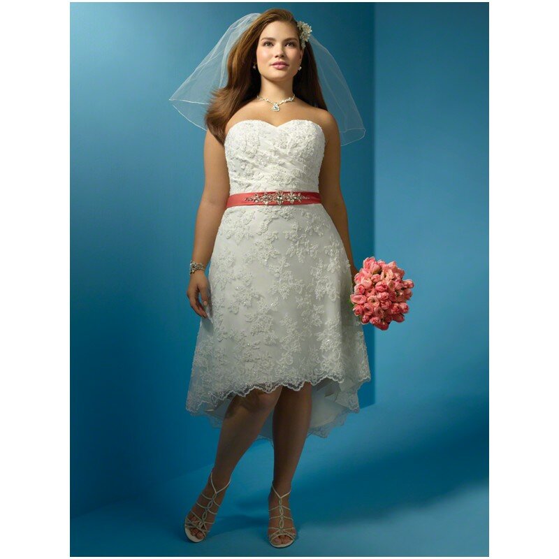 Retro plus size wedding dresses Photo - 9