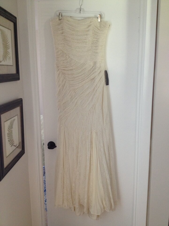 Ann Taylor jasmine lace wedding dresses Photo - 5