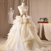 Vera Wang princess wedding dresses Photo - 1